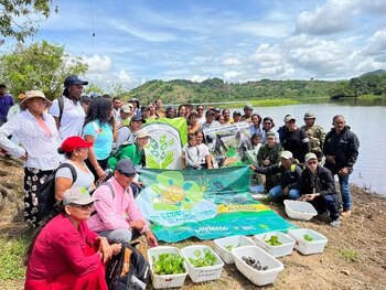 Liberación de más de tres mil tortuguillos en el Bajo Cauca