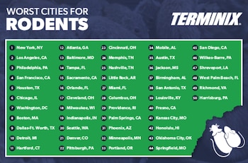 Una infografía verde de Terminix con un listado numerado de 50 ciudades de Estados Unidos sobre un fondo azul con siluetas de roedores