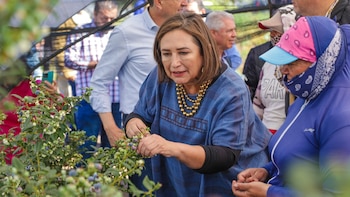 Xóchitl Gálvez aseguró que la
