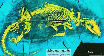 (Imagen Ilustrativa Infobae)