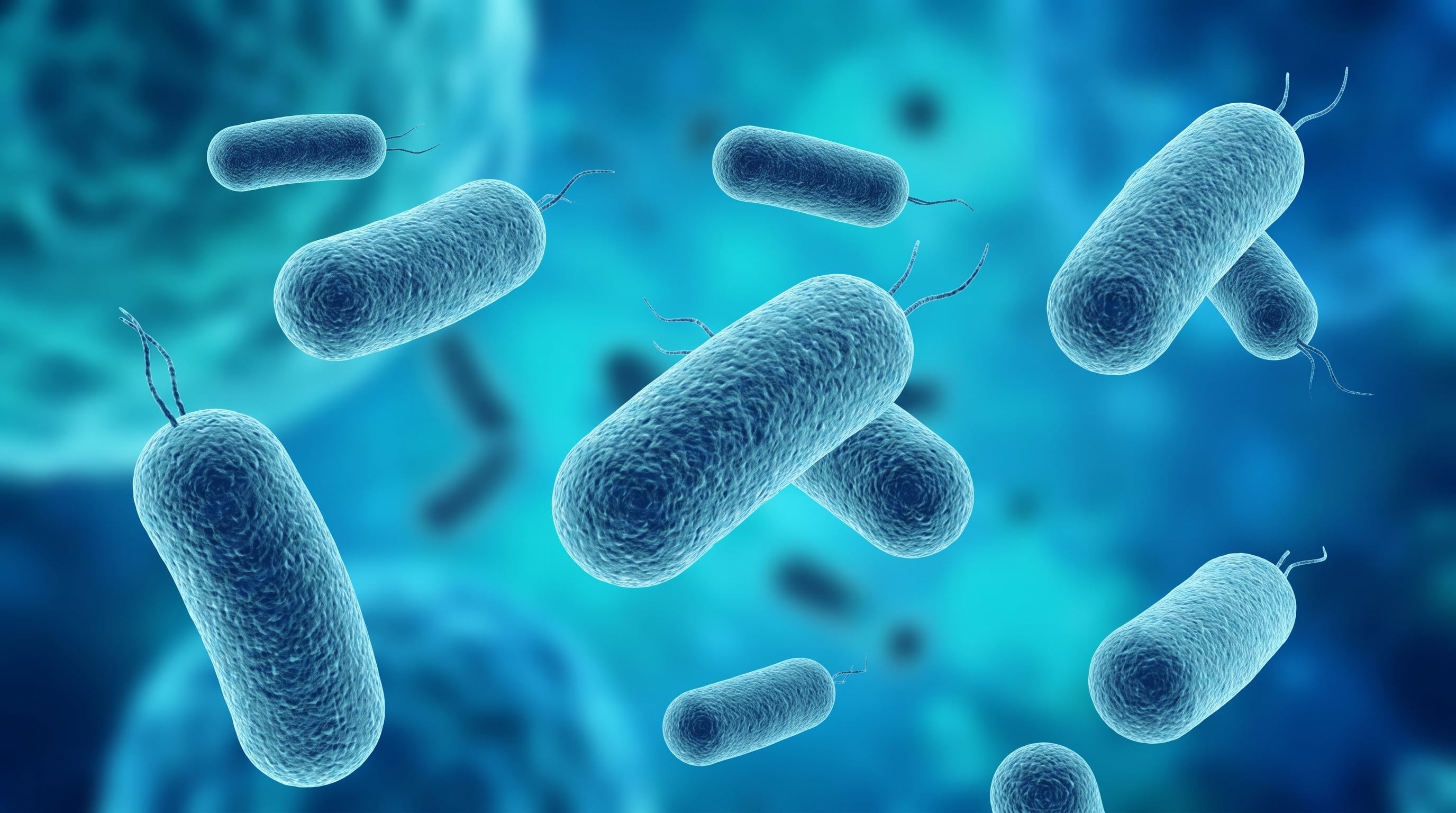 Escherichia coli es una de las bacterias vinculadas a las muertes por infecciones resistentes a los antibióticos, un problema que dificulta el tratamiento de distintas afecciones (Imagen Ilustrativa Infobae)