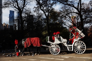 Los nuevos incidentes aceleran reclamos para erradicar los paseos con carruajes en el icónico parque neoyorquino (REUTERS/Shannon Stapleton)