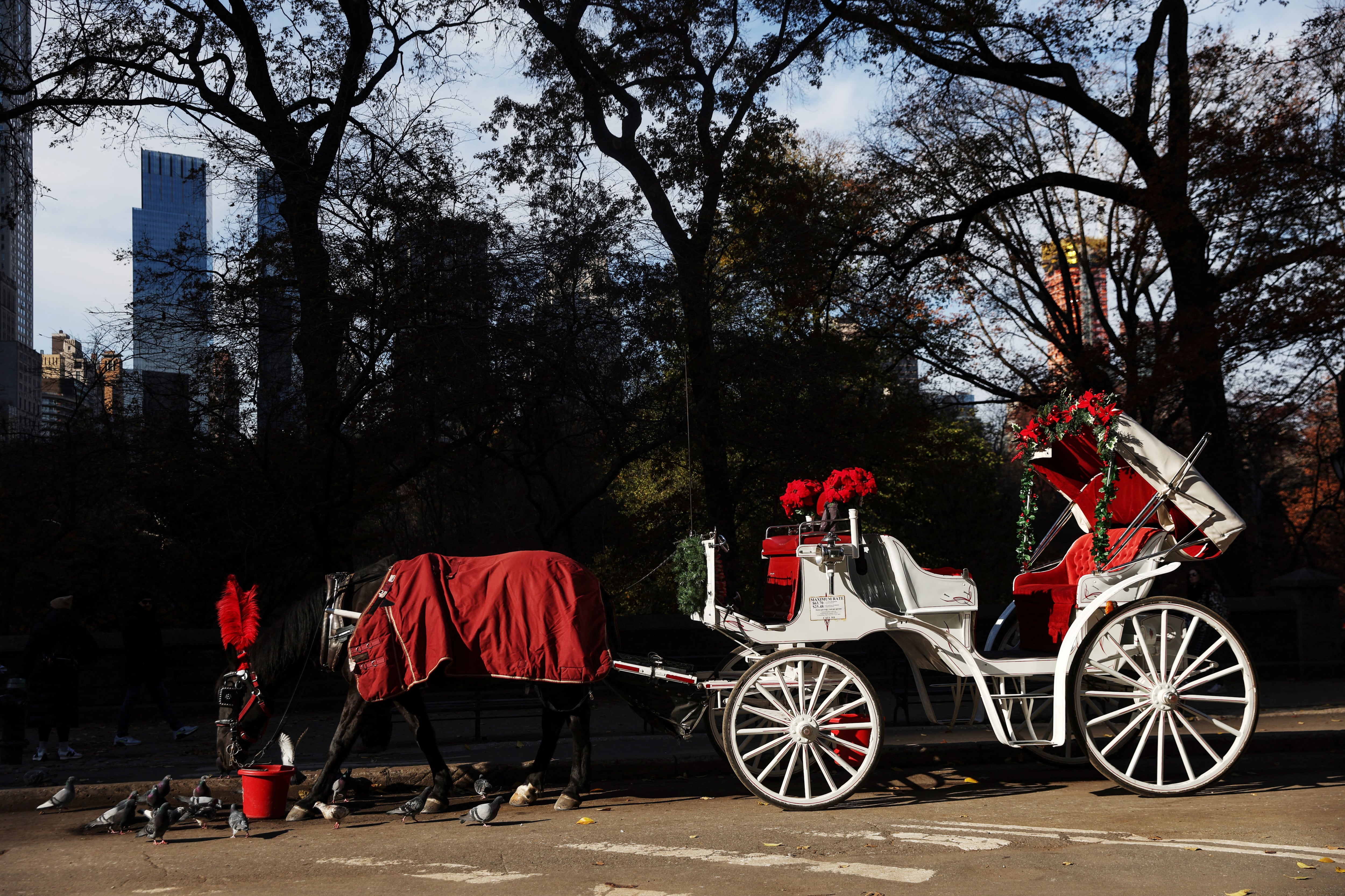 Los nuevos incidentes aceleran reclamos para erradicar los paseos con carruajes en el icónico parque neoyorquino (REUTERS/Shannon Stapleton)