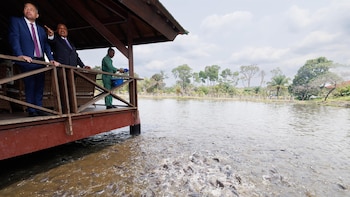 Al menos once muertos en un naufragio en un río de República Democrática del Congo