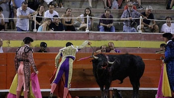 Alertan que los organizadores de una corrida de toros en Palma ofrecen entradas por 10 euros para menores