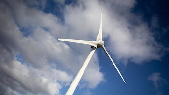 La Justicia belga bloquea a