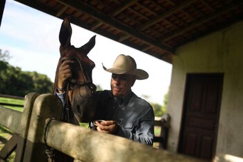 Mauro Lucio Costa prepara su caballo en el rancho Marupiara ranch en la ciudad de Tailandia en el estado de Pará, Brasil, 17 de marzo del 2020. Foto tomada el 17 de marzo del 2020 REUTERS/Pilar Olivares