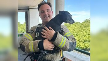 Un bombero y el perro