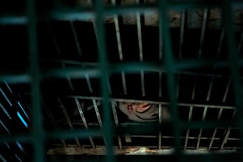 Afganistán - Kabul - Droga - Adicción - Heroína