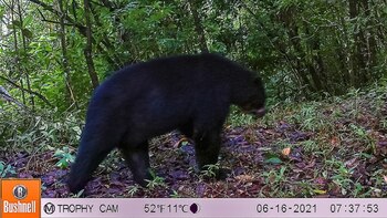 En las fotografías y videos