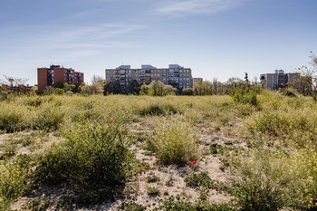 Los terrenos de la antigua