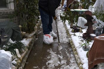 Foto del martes de un hombre quitando hielo de la entrada de su casa en Houston
Feb 16, 2021. REUTERS/Callaghan O'Hare