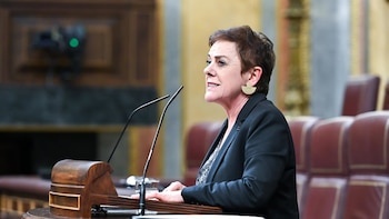 Bildu no entiende la enmienda de Junts y recalca que no es el momento de unas elecciones: Favorecerían a la derecha