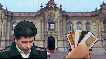 Nueve chips fueron encontrados en