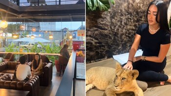 Usuarios cuestionaron la ética de