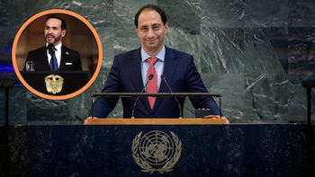 Qué pasará con Colombia en la Asamblea de la ONU sin Abelardo de la Espriella: experta analizó el rol del país en la escena internacional tras la decisión del Presidente