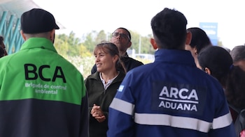 La Alianza Cardenal Amarillo articula tareas de rescate y conservación en siete provincias argentinas desde 2017 (Fundación Temaikèn)