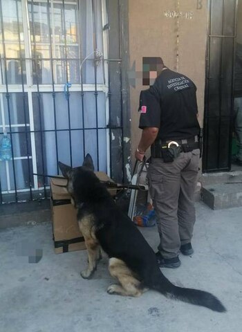 Decomiso de droga en Tijuana,