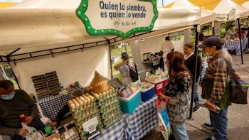 Productores y emprendedores de Bogotá: