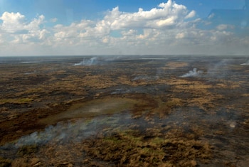 El año pasado el Sistema