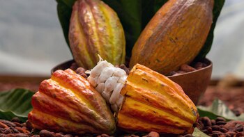 Una alianza insólita entre Microsoft