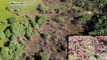 Investigado un hombre de 70 años como autor de un incendio forestal en Valderredible