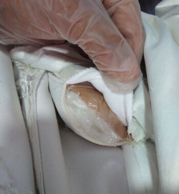 Foto: (Guardia Nacional)