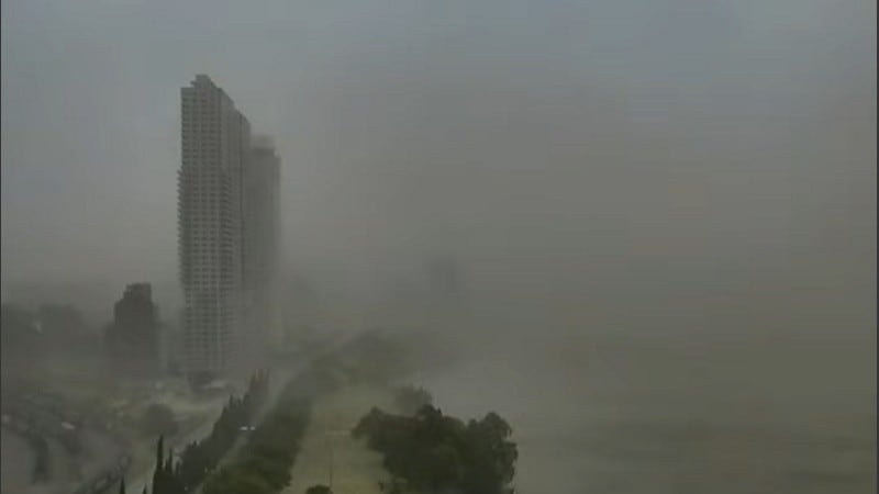 El viento intenso provocó caída de árboles y voladura de chapas en diferentes puntos de Rosario