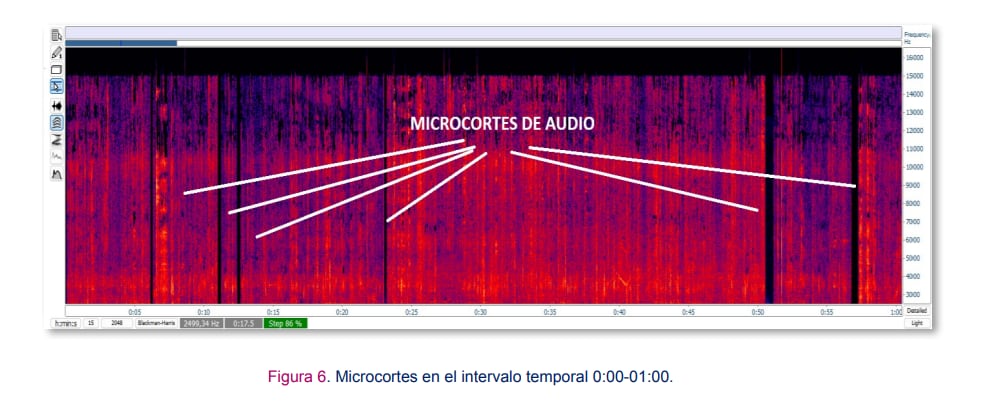 El estudio particular encontró 18 microcortes de audio en las escuchas a Diego Spagnuolo. Foto: Graudio Forensics