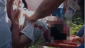 El Salvador: tres trabajadores resultaron lesionados tras caída de árbol durante acciones de limpieza, en la Asamblea Legislativa