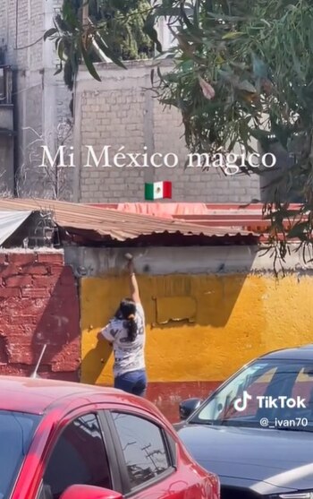 (Captura TikTok: @_ivan70)