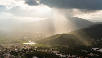 El descubrimiento permitirá mejorar los