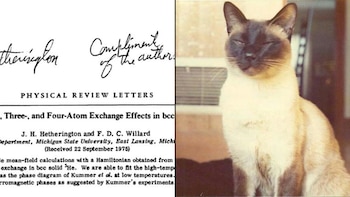 La curiosa historia de Chester