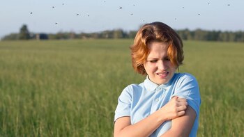 A medida que los bosques