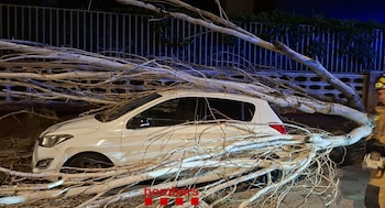 El cuerpo de bomberos de