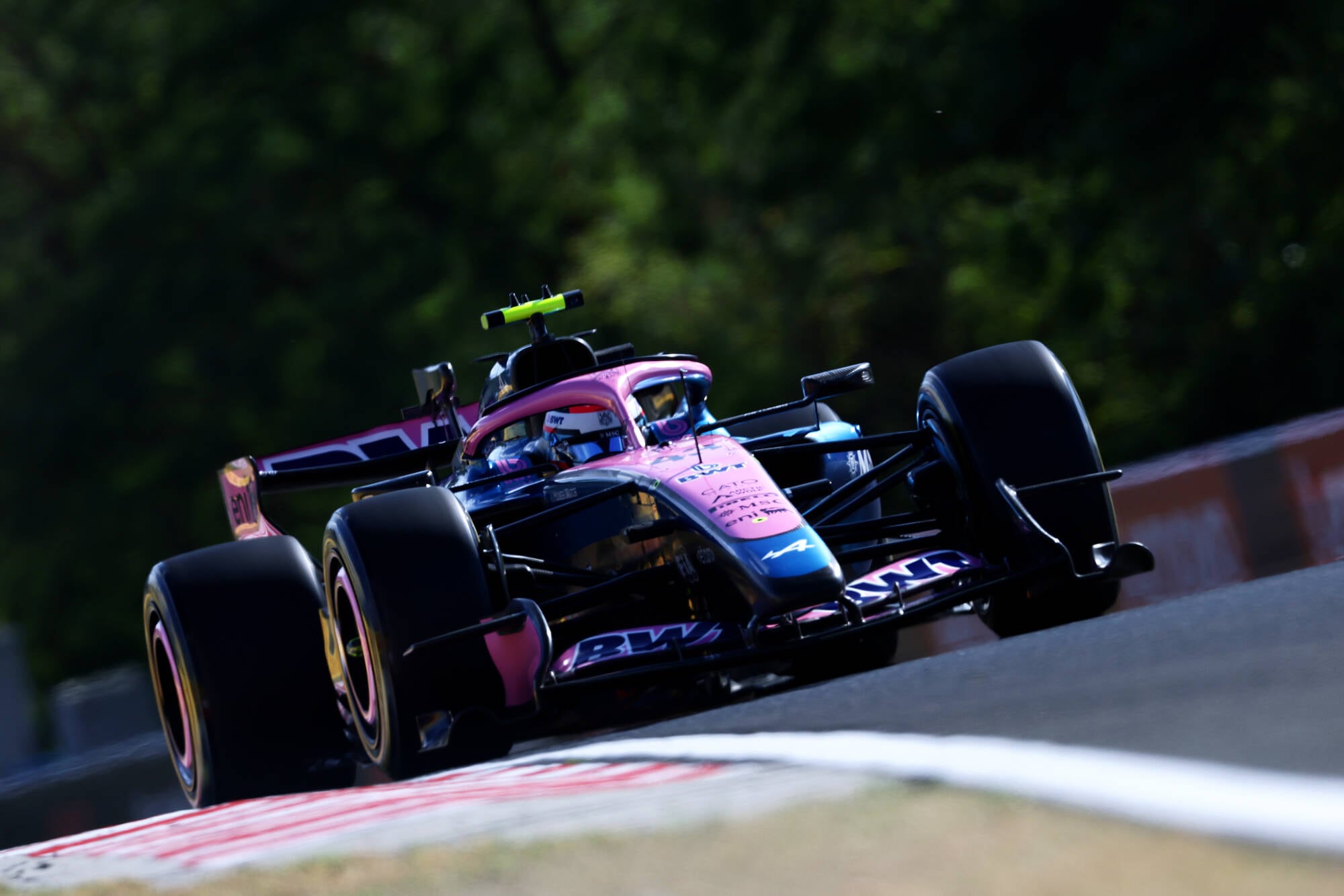 Franco Colapinto fue 15º en Hungría (Photo by Mark Thompson/Getty Images)