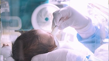 La Red Nacional de Bancos