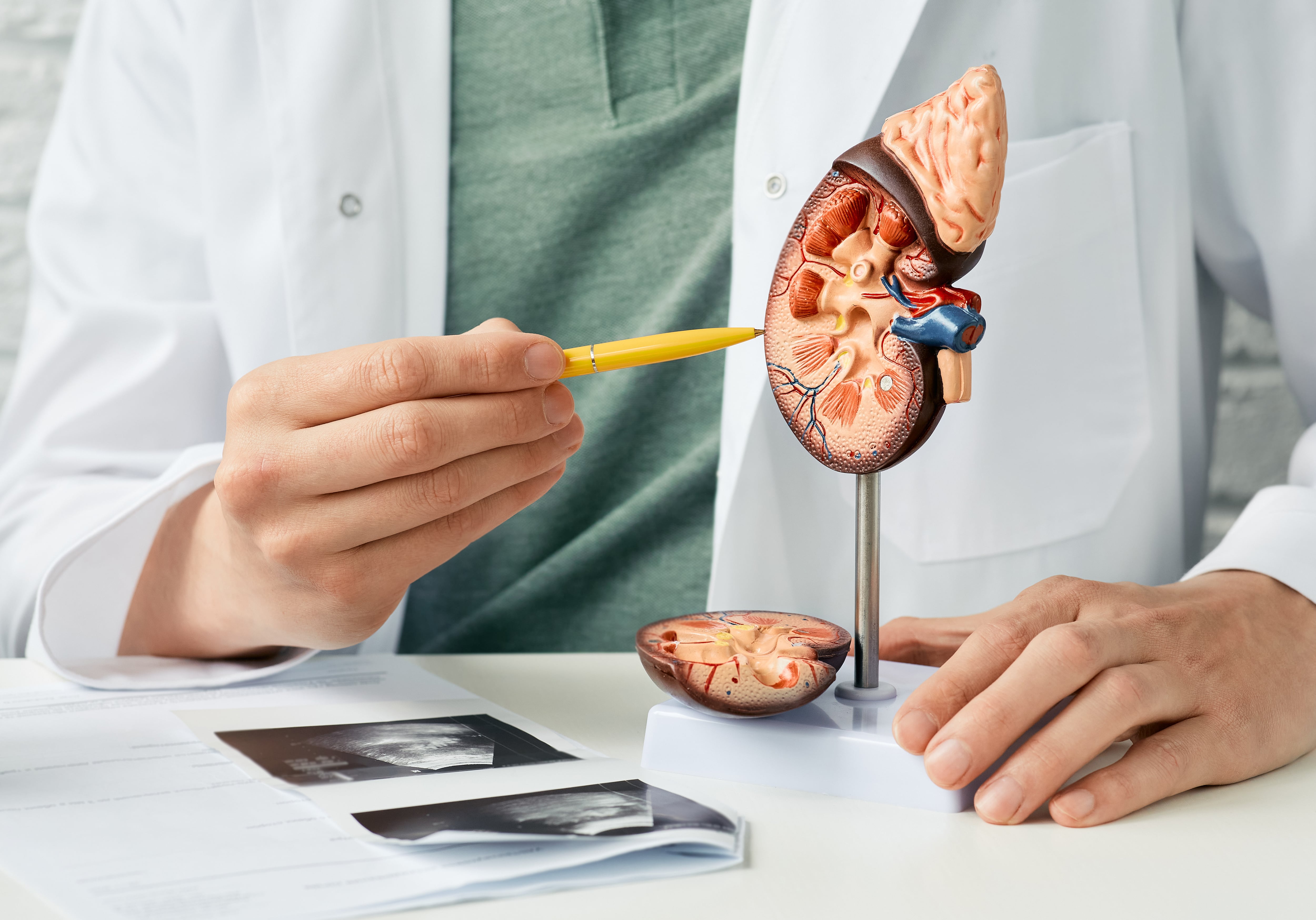 Especialistas en oncología clínica de Guatemala, El Salvador, Honduras, Nicaragua, Costa Rica y Panamá participaron en el encuentro médico./ (AdobeStock)