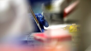 Una investigación biomédica abre nuevas