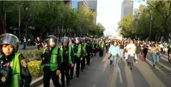 "Encauzamiento"
Foto: captura de pantalla Gob