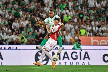 El Verde quiere sumar ante