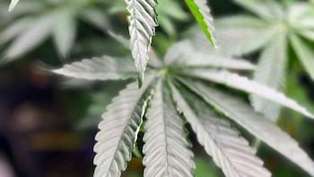 Es hora de que Estados