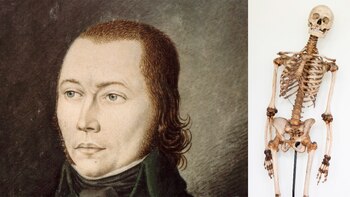 Identificaron el esqueleto de un