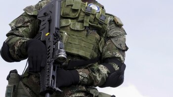 Cae red ilegal que falsificó