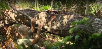 José Manuel Soto durante la