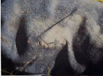 La marca de la cubierta