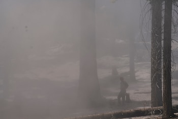 Los incendios forestales en Nevada y el norte de California obligaron a emitir órdenes inmediatas de evacuación y provocaron cierres de rutas principales. (REUTERS/Tracy Barbutes)