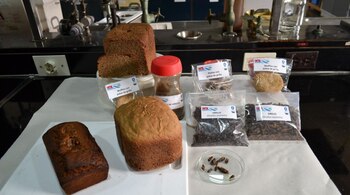 La harina de grillo emerge