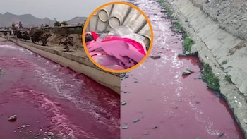 Denuncian que lavanderías industriales del