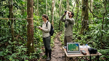 Una mujer escribe en una libreta y un hombre mira por binoculares en un bosque tropical junto a una mesa con una tableta y equipos.